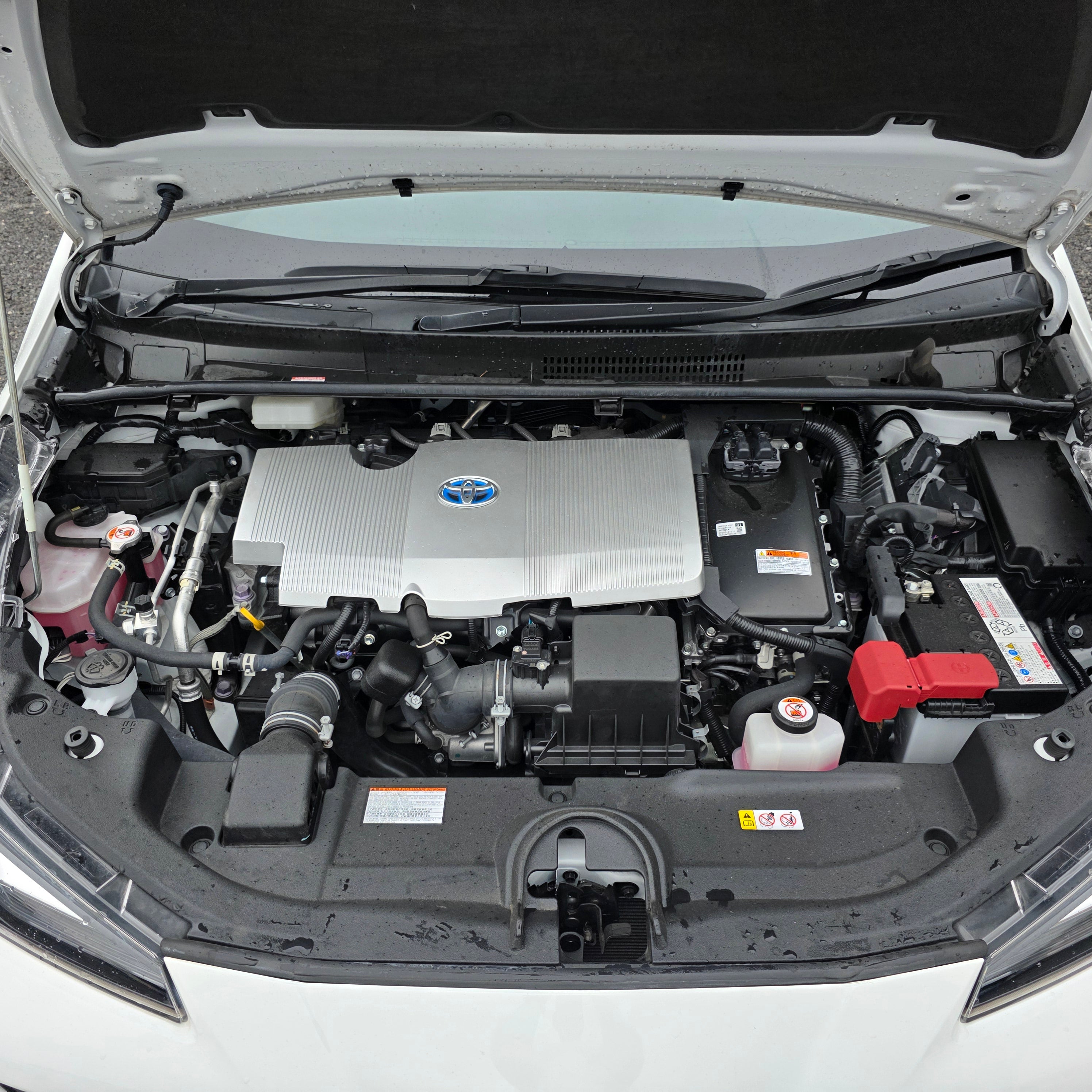 Toyota Prius 2022 White Cruise