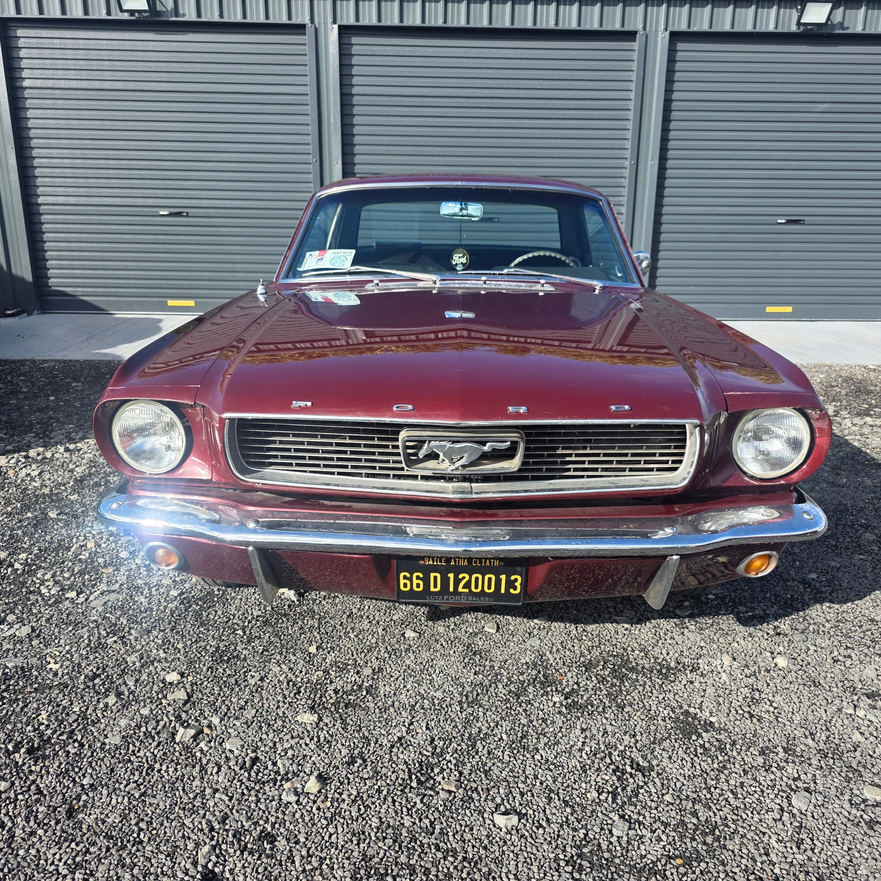 Ford Mustang 1966 Automatic Vintage 3.3 Litre